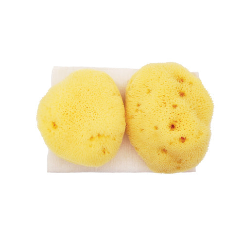 Jade & Pearl Sea Pearl Reusable Prolapse Sponge or Menstrual Sponge - XL + Firm (2 Pack)