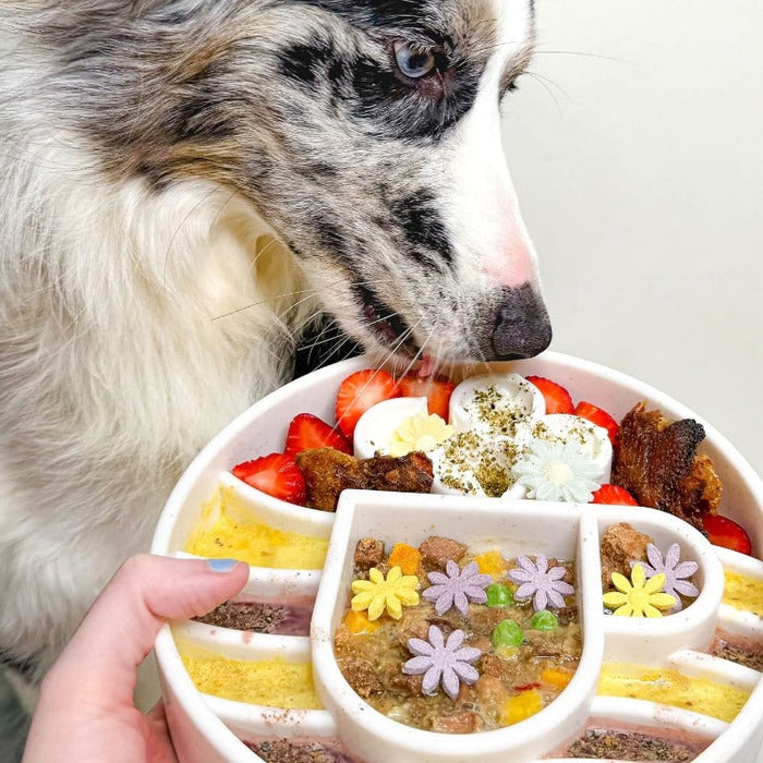 Java Coffee Cup Feeding Bowl