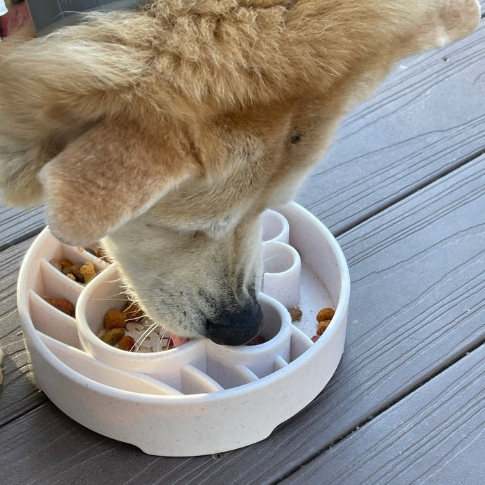 Java Coffee Cup Feeding Bowl
