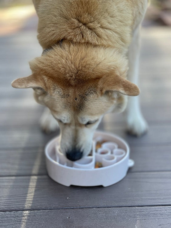 Java Coffee Cup Feeding Bowl