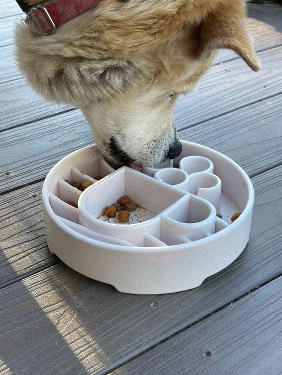 Java Coffee Cup Feeding Bowl