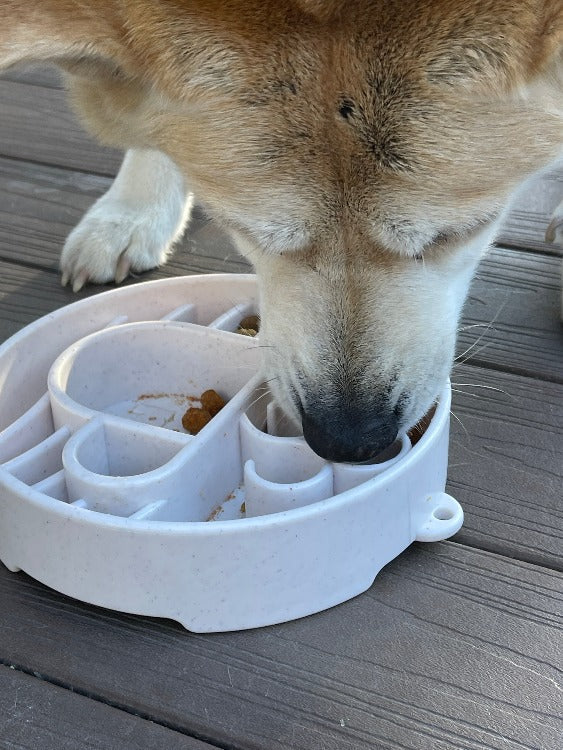 Java Coffee Cup Feeding Bowl