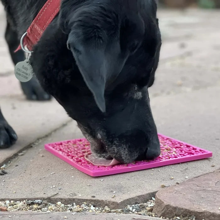 Jigsaw Puzzle Pattern Lick Mat