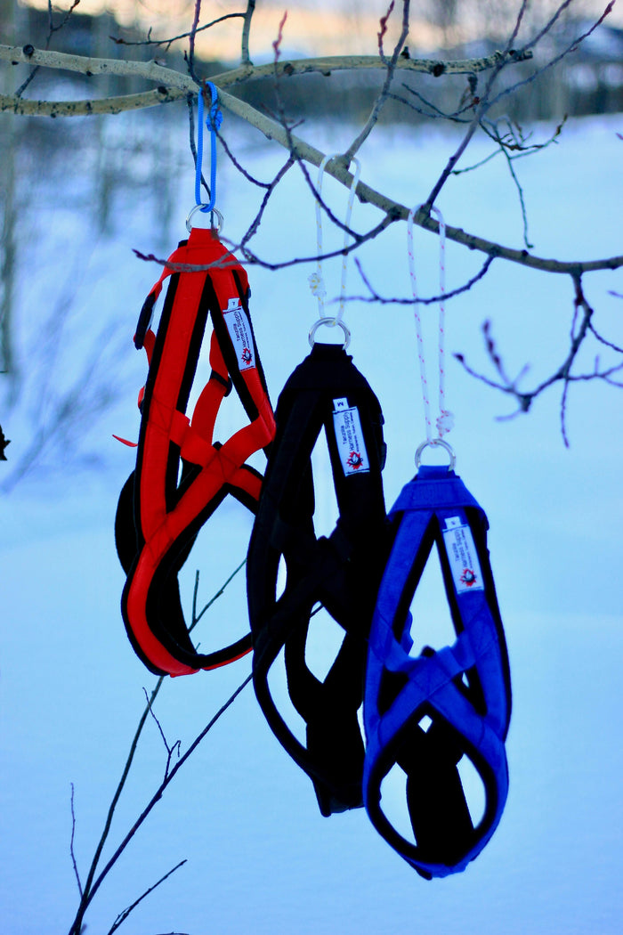 Klondike Package | Adventure Harness