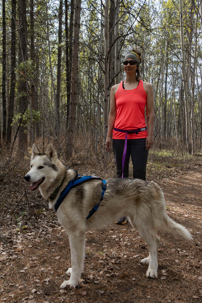 Klondike Package | Adventure Harness