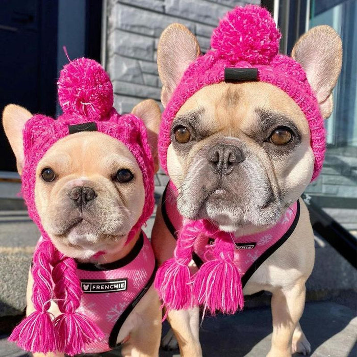 Knitted Dog Hats