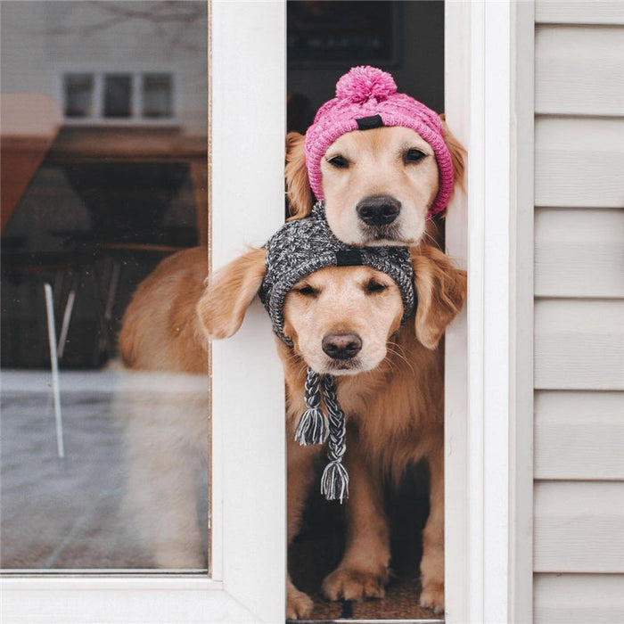 Knitted Dog Hats