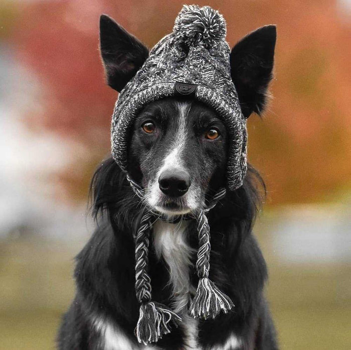 Knitted Dog Hats