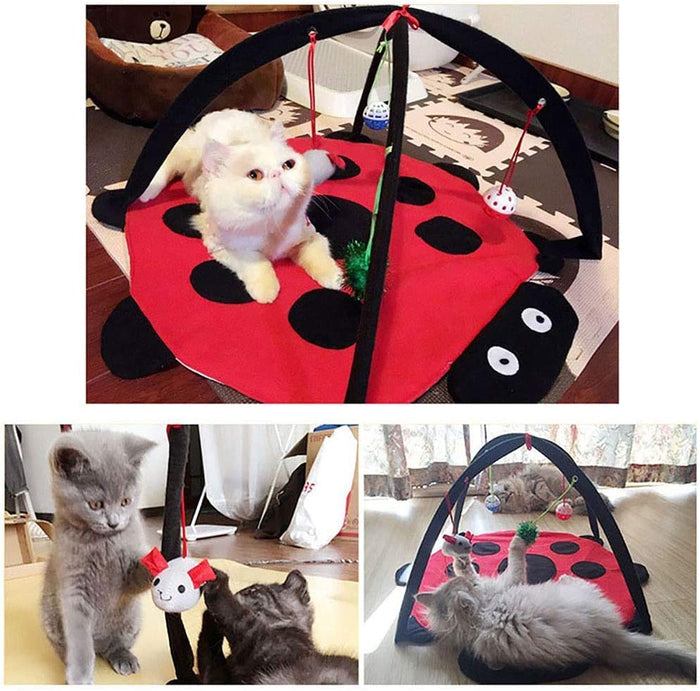 Ladybug Cat Activity Mat