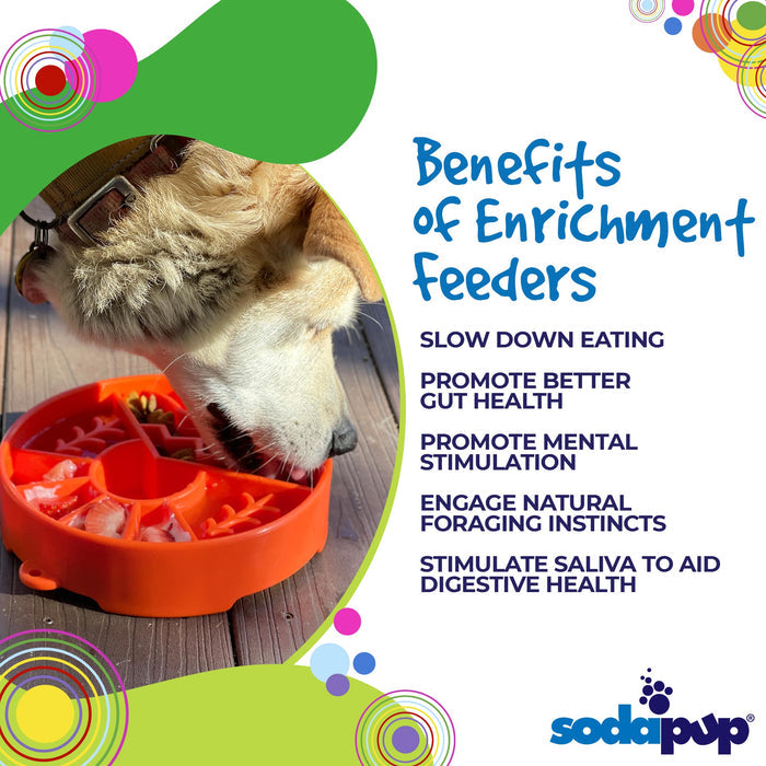 Landscape-Maze Dog Bowl for Mealtime