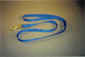 Leash