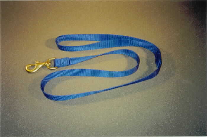 Leash