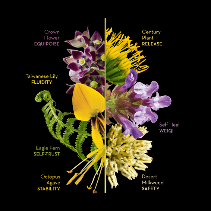 LotusWei Sacred Body WeiQi Facial Mist 3