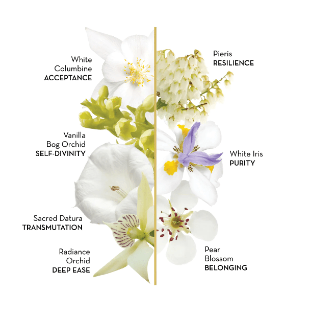 LotusWei Sacred Heart Anointing Oil 2