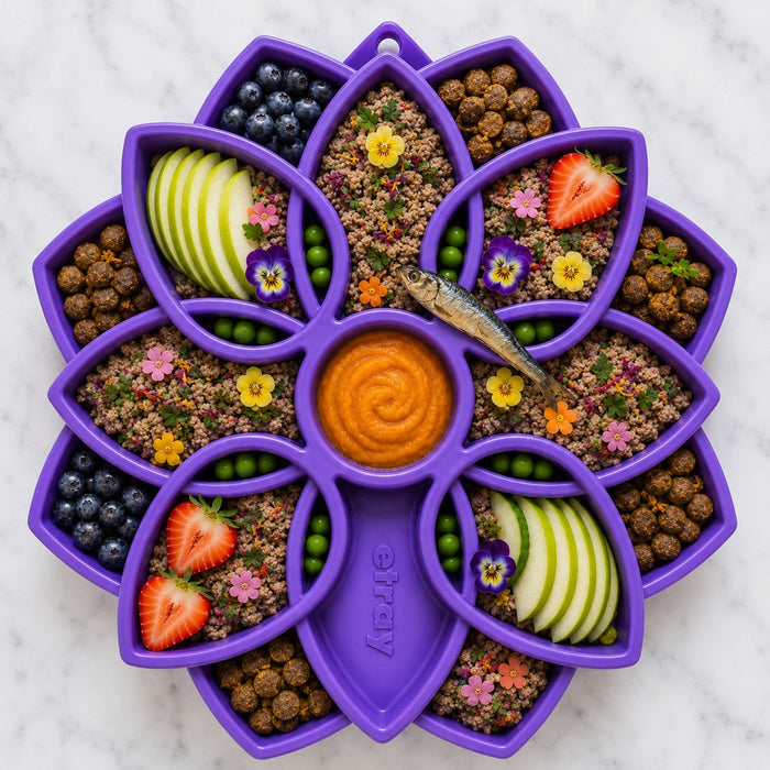 Low-Profile Mandala Tray for Dog Meals