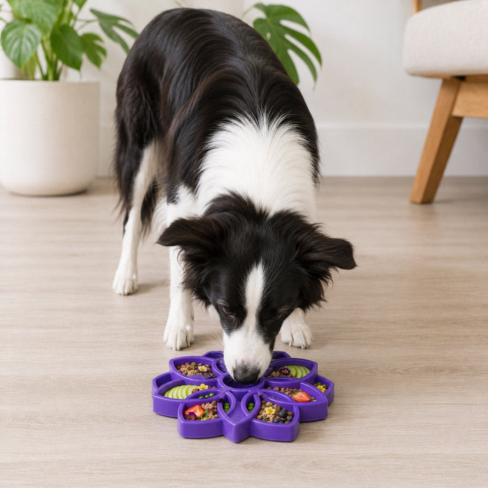 Low-Profile Mandala Tray for Dog Meals