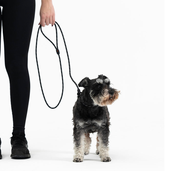 Dog with Luca Rope Leash LITE