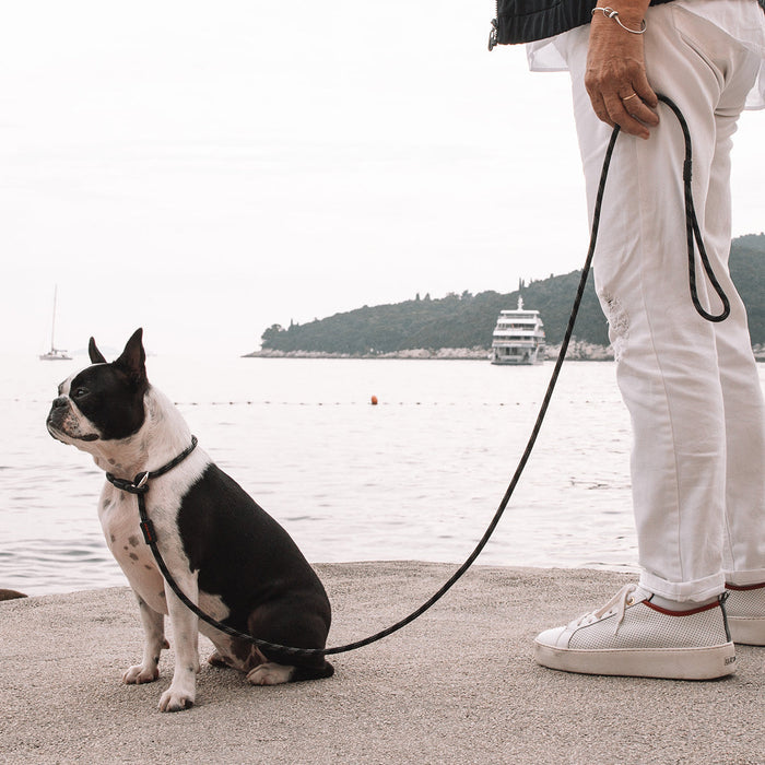 EzyDog Luca Rope Leash LITE for dogs