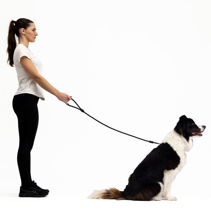 Woman handling dog with Luca Rope Leash