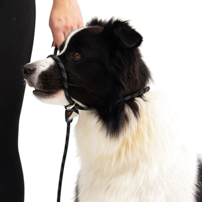 EzyDog Luca Rope Lead for Dogs