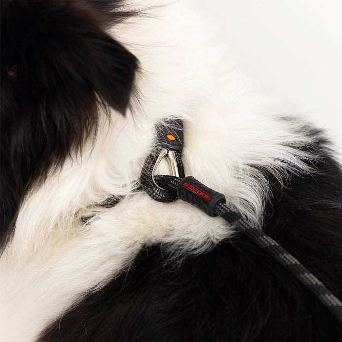 EzyDog Luca Rope Leash closeup