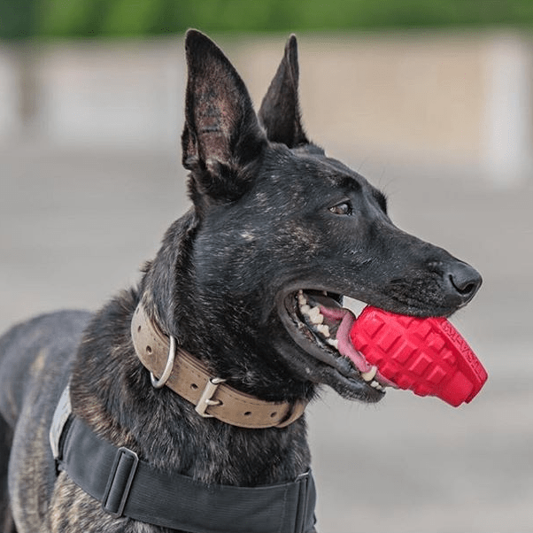 Magnum Black Grenade Treat Toy