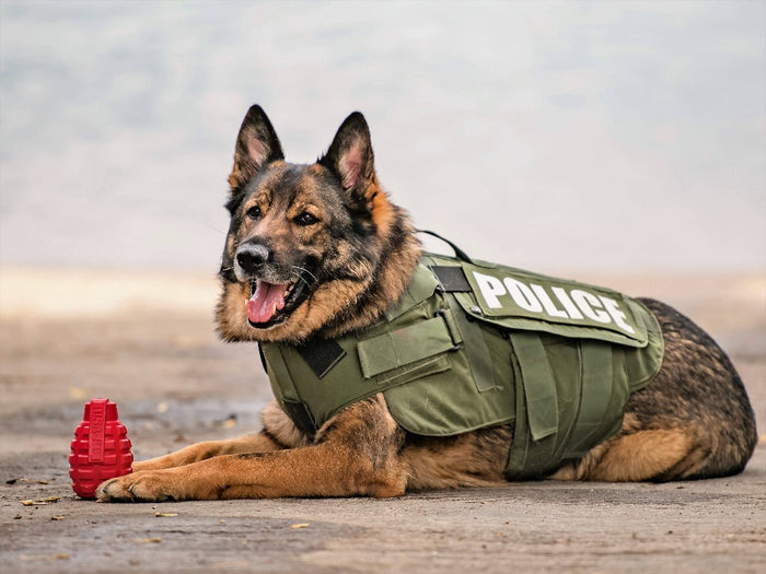 Magnum Black Grenade Treat Toy