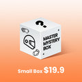 Master Mystery Box - Small Box (2-3 Items Inside)