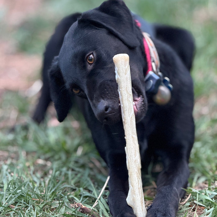 Natural Branch Shaped Nylon Chew