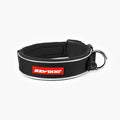 Neo Classic Dog Collar