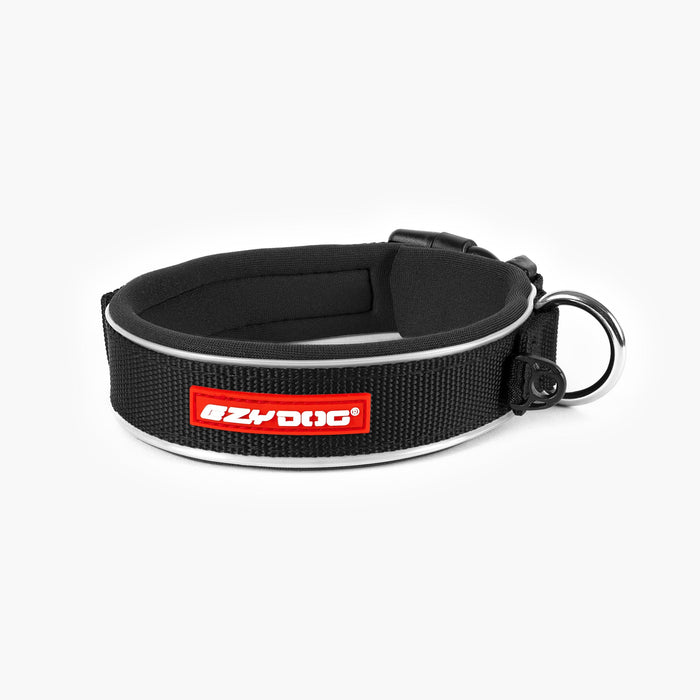 Neo Classic Dog Collar