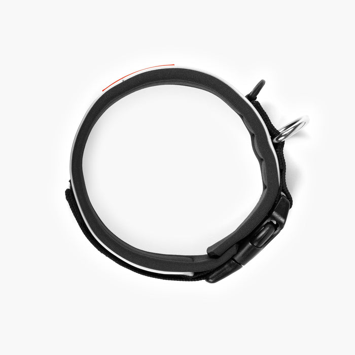 EzyDog Neo Classic Dog Collar