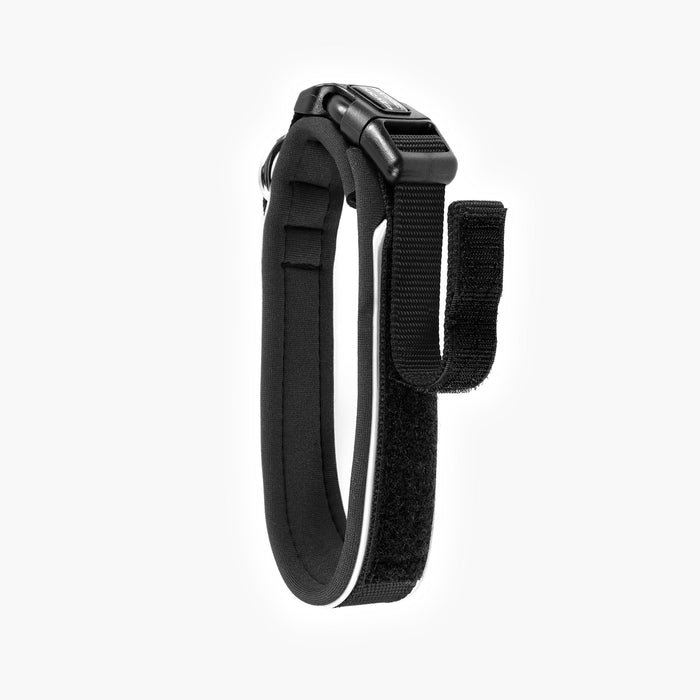 Neo Classic Dog Collar in Black