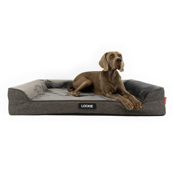 EzyDog Next Gen Ortho Lounger Dog Bed