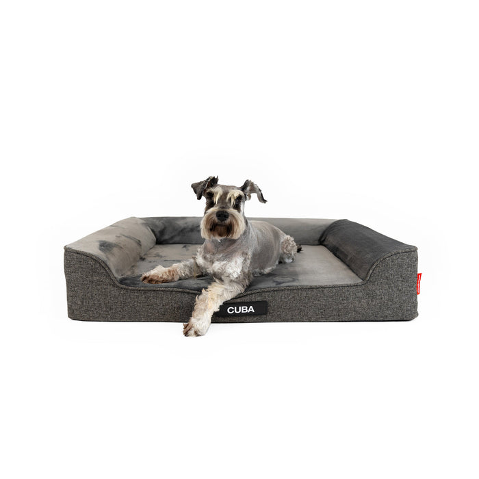 EzyDog Next Gen Ortho Lounger Dog Bed with medium sized dog