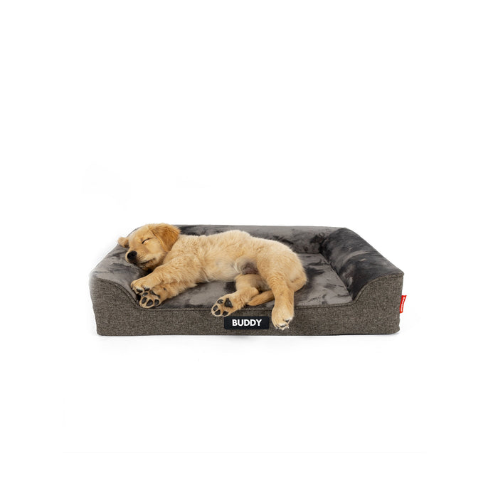 Next Gen Ortho Lounger Dog Bed with a puppy sleeping