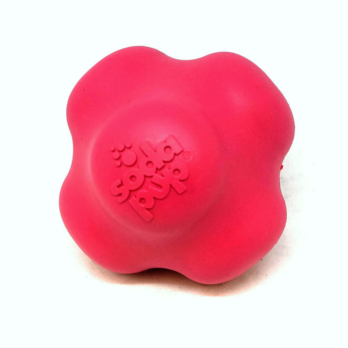 Orange Crazy Bounce Fetch Ball