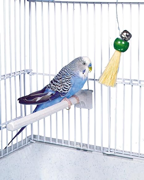 Penn Plax Bird Life Hanging Pacifier With Bell