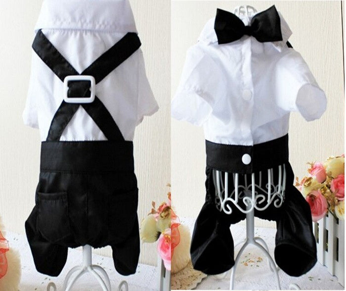 Pet Wedding Suit