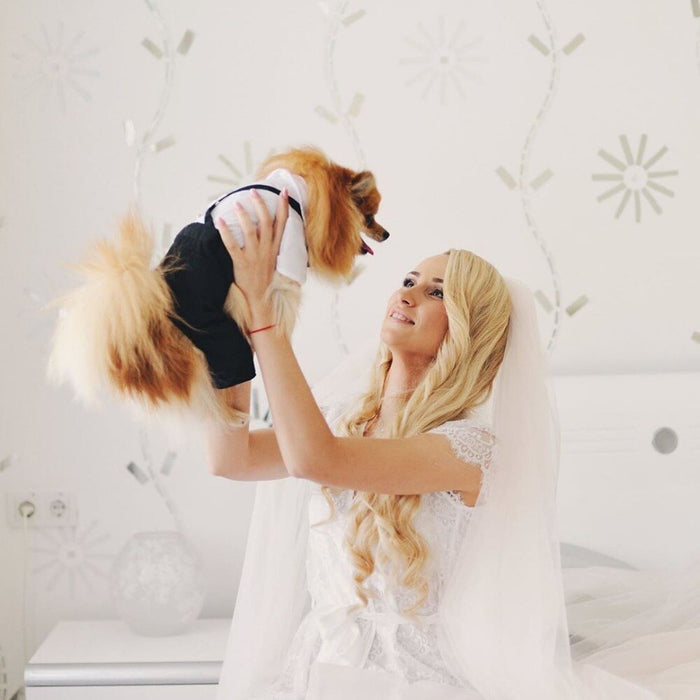 Pet Wedding Suit