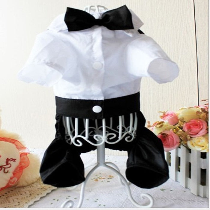 Pet Wedding Suit