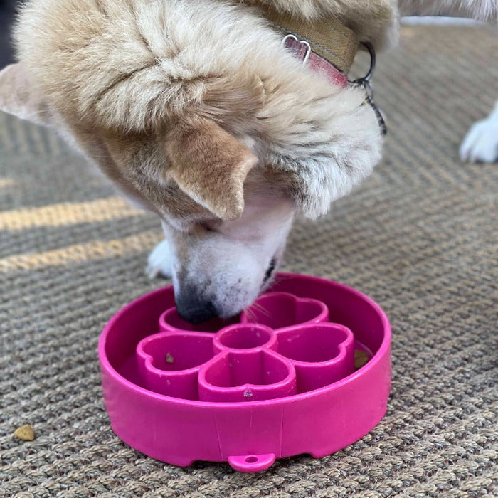 Petal-Maze Dog Bowl for Larger Portions