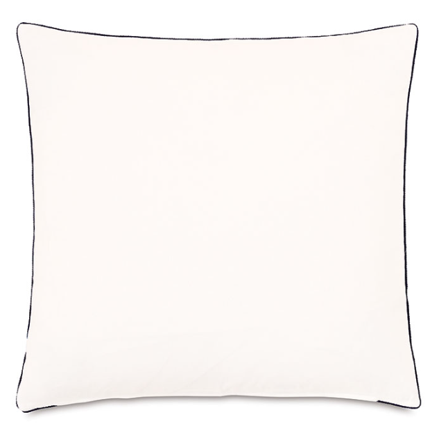 Phineas Embroidered Square Pillow