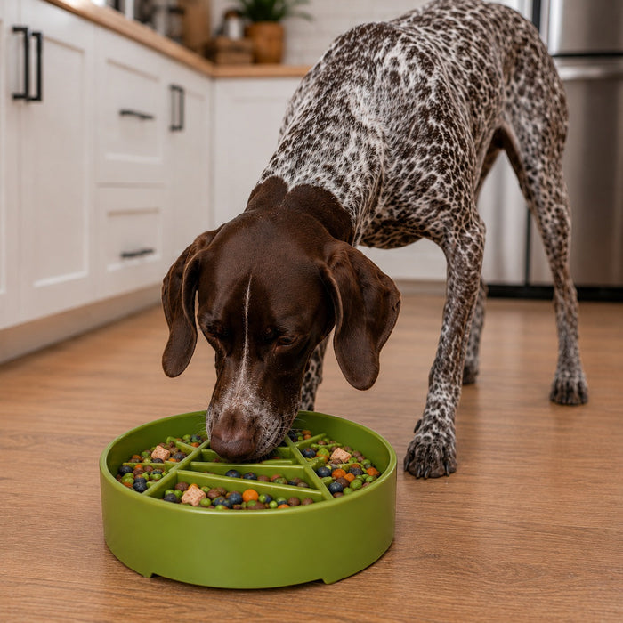 Pine-Tree Meal Bowl with Deep Compartments