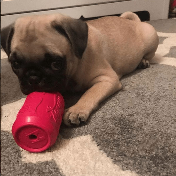 Pink Puppy Can Rubber Treat Toy