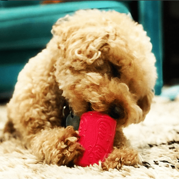 Pink Puppy Can Rubber Treat Toy