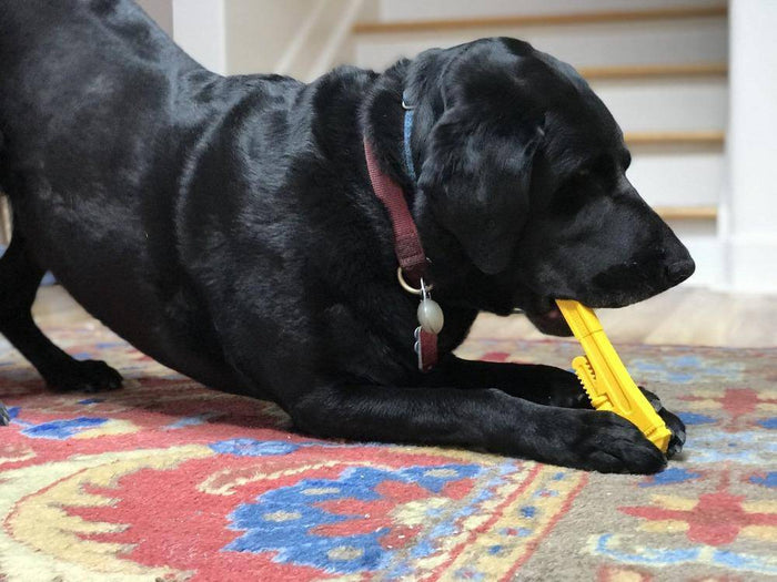 Pipe Wrench Shaped Nylon Chew