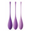 Pipedream Fantasy Kegel Trainer Set (3 Pack)