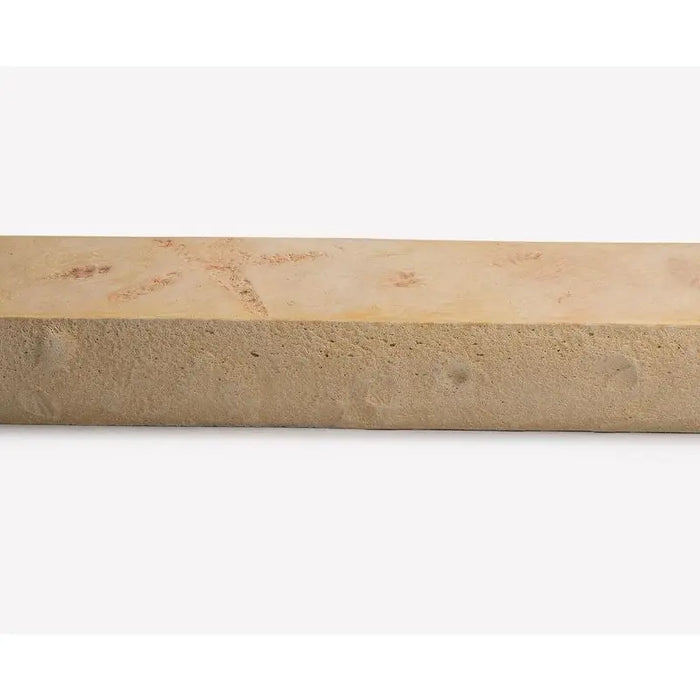 Poolform Form Liner - 3" Seashell Sea Scape Z-Form