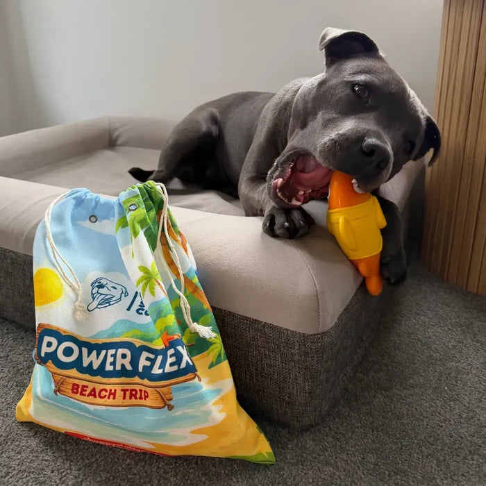 PowerFlex™ Beach Trip
